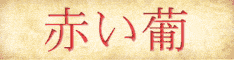 Learn Language Now